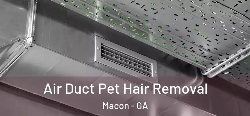 Air Duct Pet Hair Removal Macon - GA