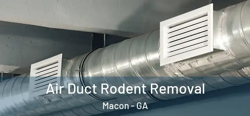 Air Duct Rodent Removal Macon - GA
