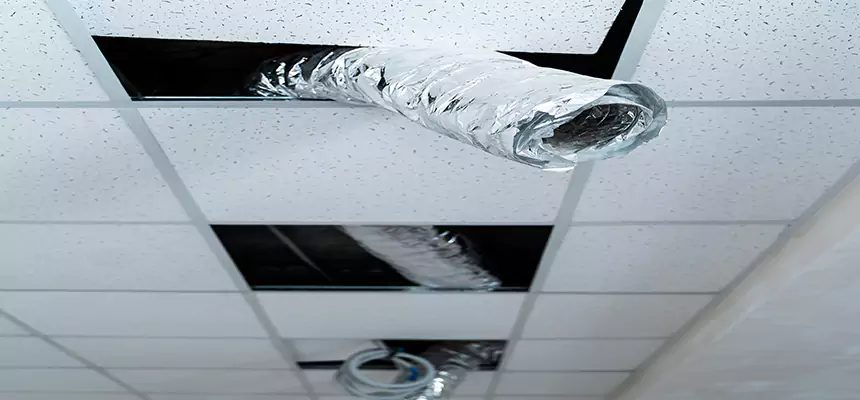 Affordable HVAC Sanitizing After Pest Removal in Macon