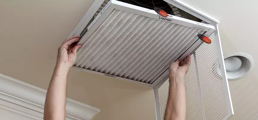 Our Insect Removal from Air Ducts Services in Macon, GA