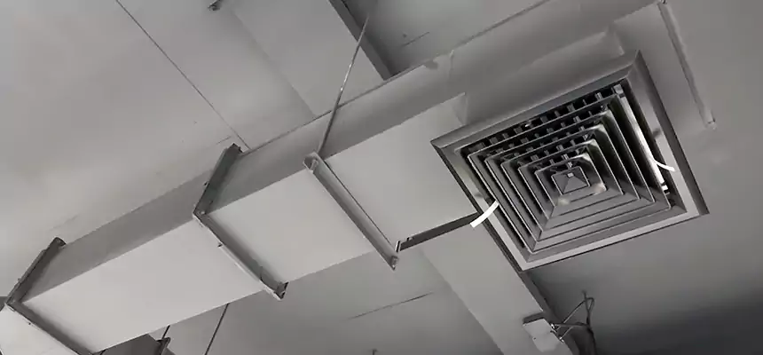 Our Rodent Droppings In Vents Services in Macon, GA