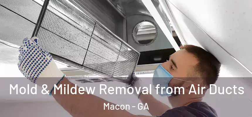 Mold & Mildew Removal from Air Ducts Macon - GA