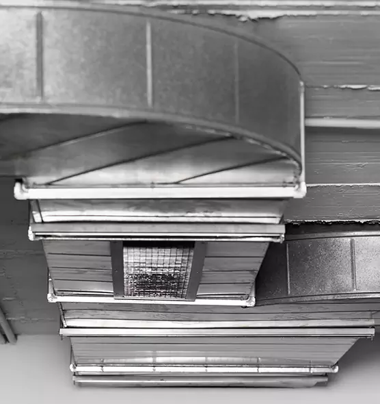 Professional Air Duct Pet Hair Removal in Macon, GA