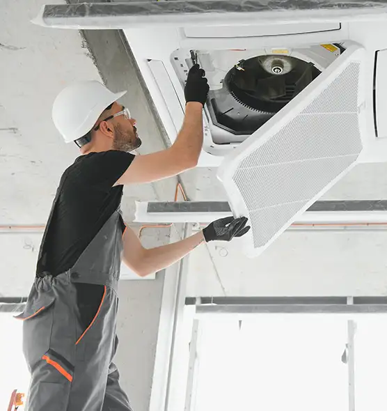 About Air Duct Rodent Removal in Macon, GA