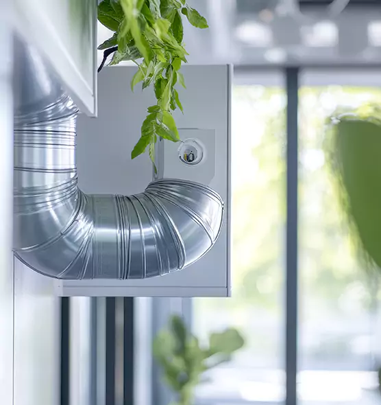 Professional Eco-Safe Dryer Vent Cleaning in Macon, GA