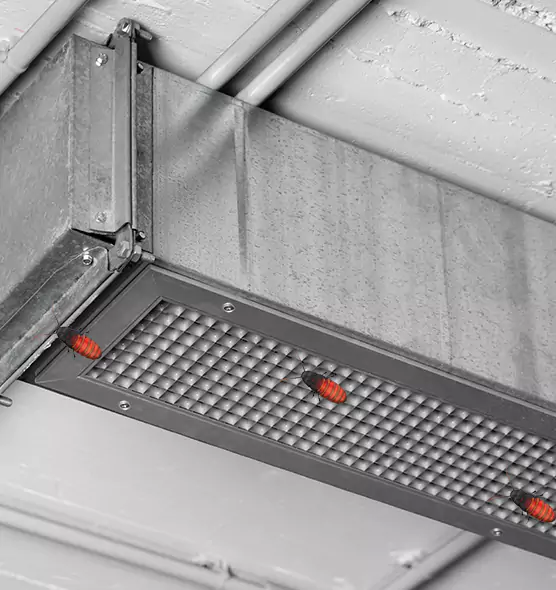 Affordable Insect Removal from Air Ducts in Macon, GA