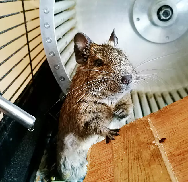 Why Homeowners & Businesses Trust Us Macon, GA?