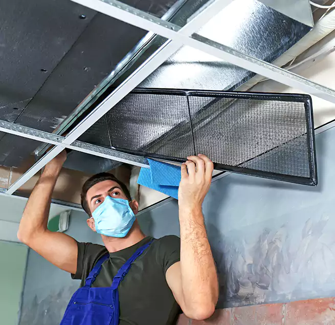 Why Homeowners Businesses Trust Us in Macon, GA