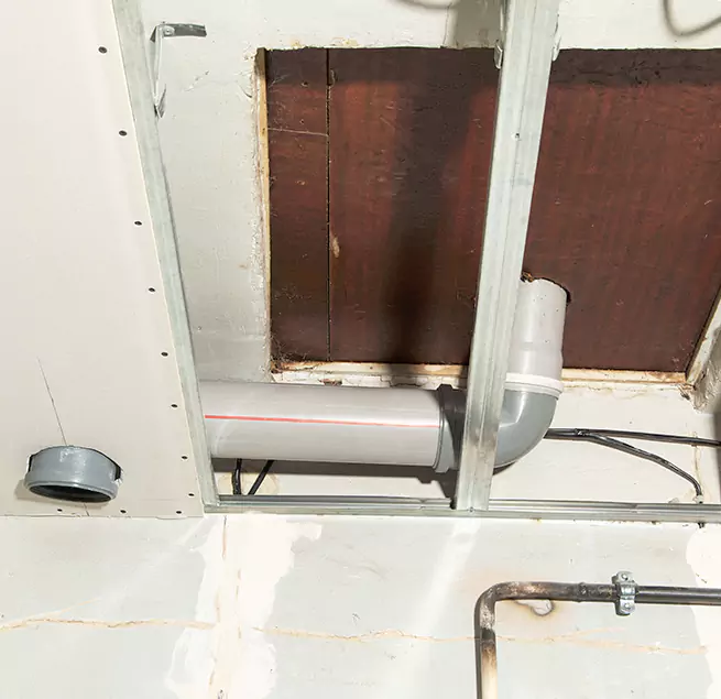 Why Homeowners & Businesses Trust Us in Macon, GA?