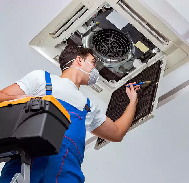 Why Homeowners & Businesses Trust Us in Macon, GA