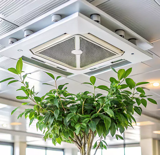 Why Homeowners & Businesses Trust Us in Macon, GA?