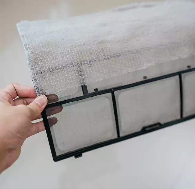 Why Homeowners & Businesses Trust Us in Macon, GA?