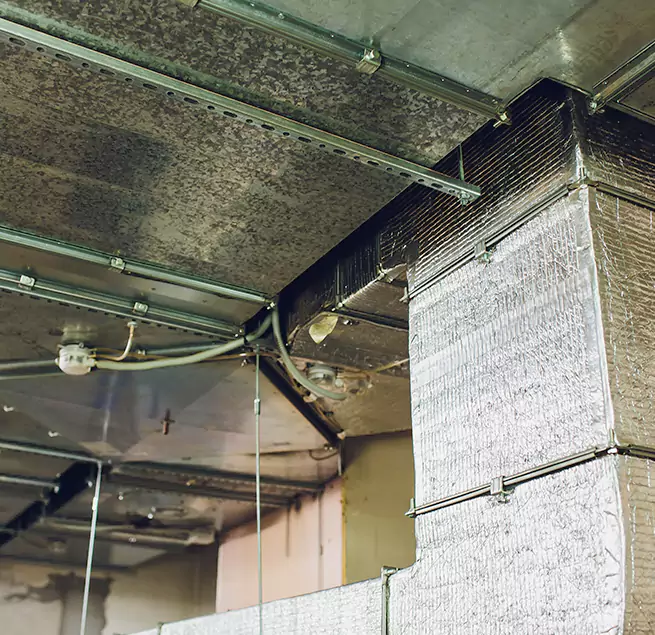 Why Homeowners & Businesses Trust Us in Macon, GA?